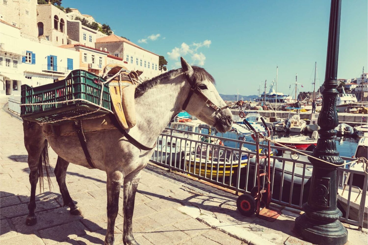 Horse and cart on the harbour front of Hydra